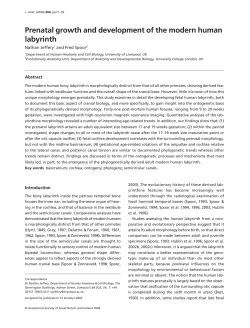 Prenatal growth and development of the modern human labyrinth