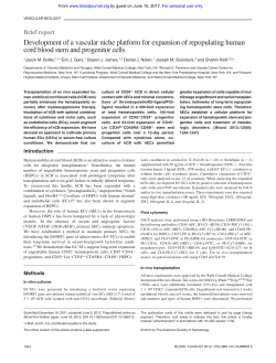Development of a vascular niche platform for