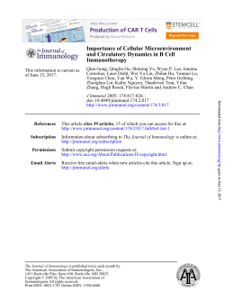 Immunotherapy and Circulatory Dynamics in B Cell Importance of