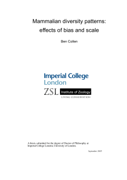 Mammalian diversity patterns: effects of bias and scale