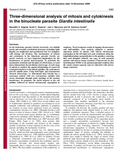 Three-dimensional analysis of mitosis and cytokinesis in the