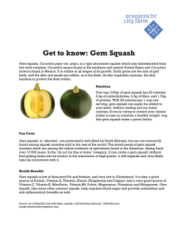 Get to know: Gem Squash