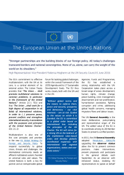 The European Union at the United Nations