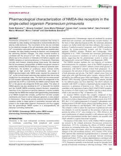 Pharmacological characterization of NMDA
