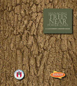 Managing Trees Near Power Lines