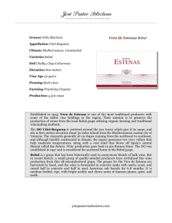 Estenas Bobal - Jose Pastor Selections