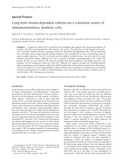 Long-term stroma-dependent cultures are a consistent