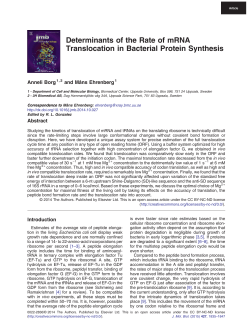 Determinants of the Rate of mRNA Translocation in Bacterial Protein