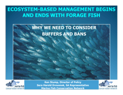 food webs and forage fish - South Atlantic Fishery Management