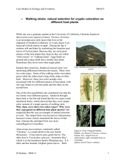 6 Walking sticks: natural selection for cryptic coloration on different
