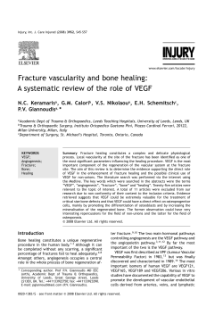 Fracture vascularity and bone healing: A