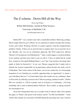 The Z-Scheme - Down Hill all the Way