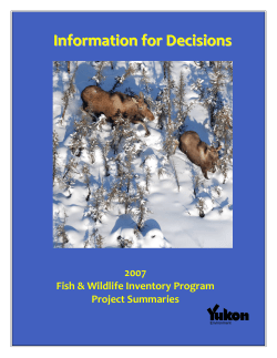 Information for Decisions - Environment Yukon