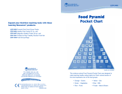 Food Pyramid Pocket Chart