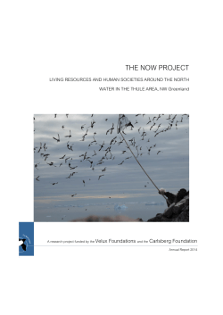 THE NOW PROJECT