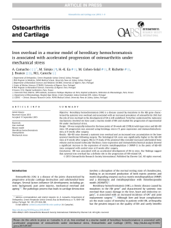 Iron overload in a murine model of hereditary hemochromatosis is