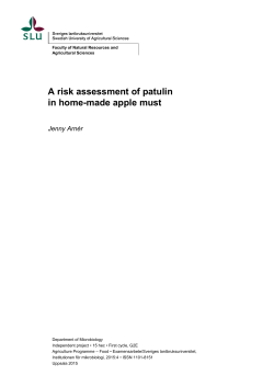 A risk assessment of patulin in home-made apple must