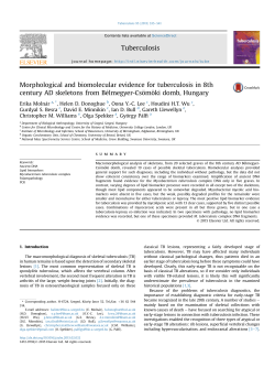 Morphological and biomolecular evidence for tuberculosis in 8th