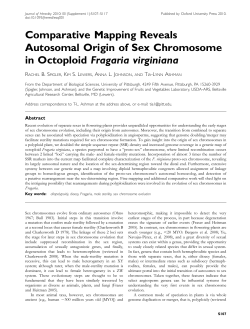 Comparative Mapping Reveals Autosomal Origin of Sex