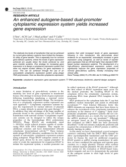 An enhanced autogene-based dual