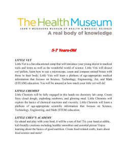 Summer 2017 Discovery Camps` Description