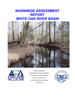 BASINWIDE ASSESSMENT REPORT WHITE OAK RIVER BASIN