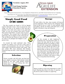 Simply Good Food AVOCADOS - Extension Educationin Clay County