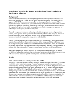 Moose calf project information - Minnesota DNR - MN-dnr