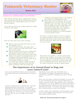 Falmouth Veterinary Howler - Falmouth Veterinary Hospital