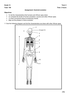 Grade 12 LFSC Term 3 2015 Hominid Evolution