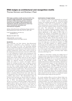 RNA bulges as architectural and recognition motifs