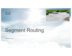 Segment Routing