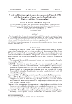 A review of the Afrotropical genus Hermannomyia Oldroyd, 1980