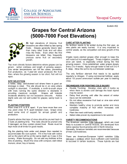 Grapes for Central Arizona (5000