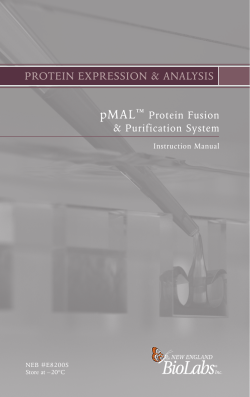 manual pMAL Protein Fusion and Purification System E8200