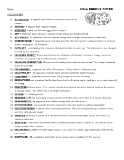 cell energy notes