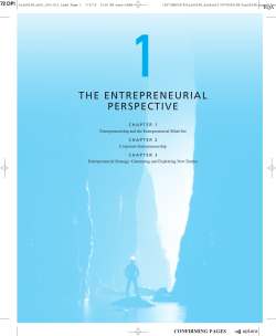 THE ENTREPRENEURIAL PERSPECTIVE