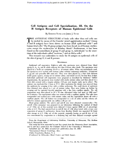 Cell Antigens and Cell Specialization. III. On the H