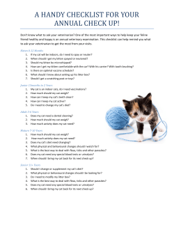 Cat Check Up Questions