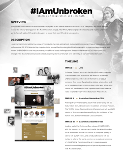 OVERVIEW DESCRIPTION TIMELINE