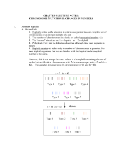 CHAPTER 9 LECTURE NOTES: CHROMOSOME MUTATION II