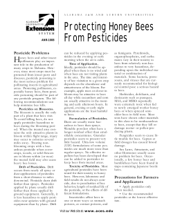 Protecting Honey Bees From Pesticides