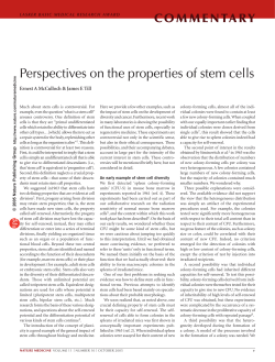 Perspectives on the properties of stem cells