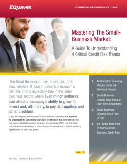 Mastering The Small- Business Market