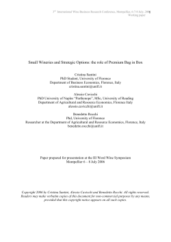 Small Wineries and Strategic Options