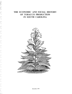 The Economic and Social History of Tobacco Production in South