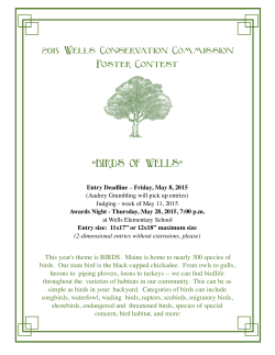2015 Poster Contest Flyer and Resources