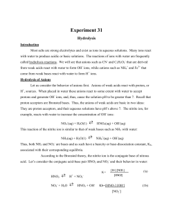 Experiment 31 hydrolysis
