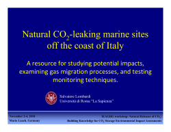 Natural CO -leaking marine sites off the coast of Italy