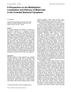 The Molecularly Crowded Cytoplasm of Bacterial Cells